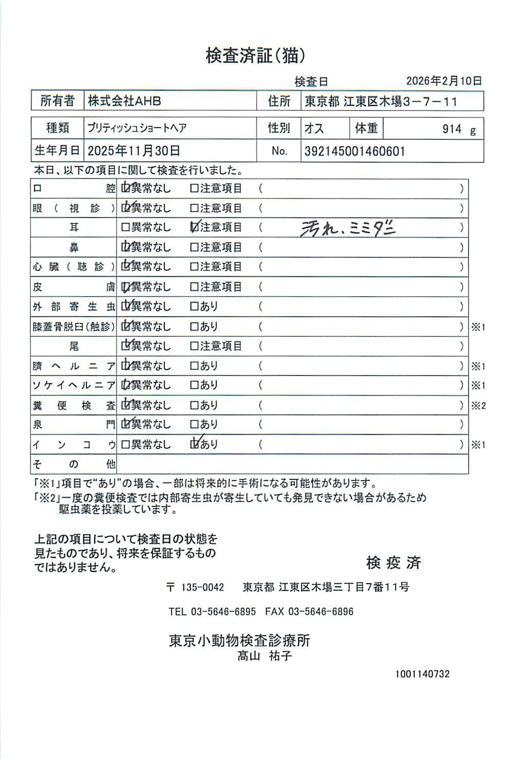 ブリティッシュショートヘア