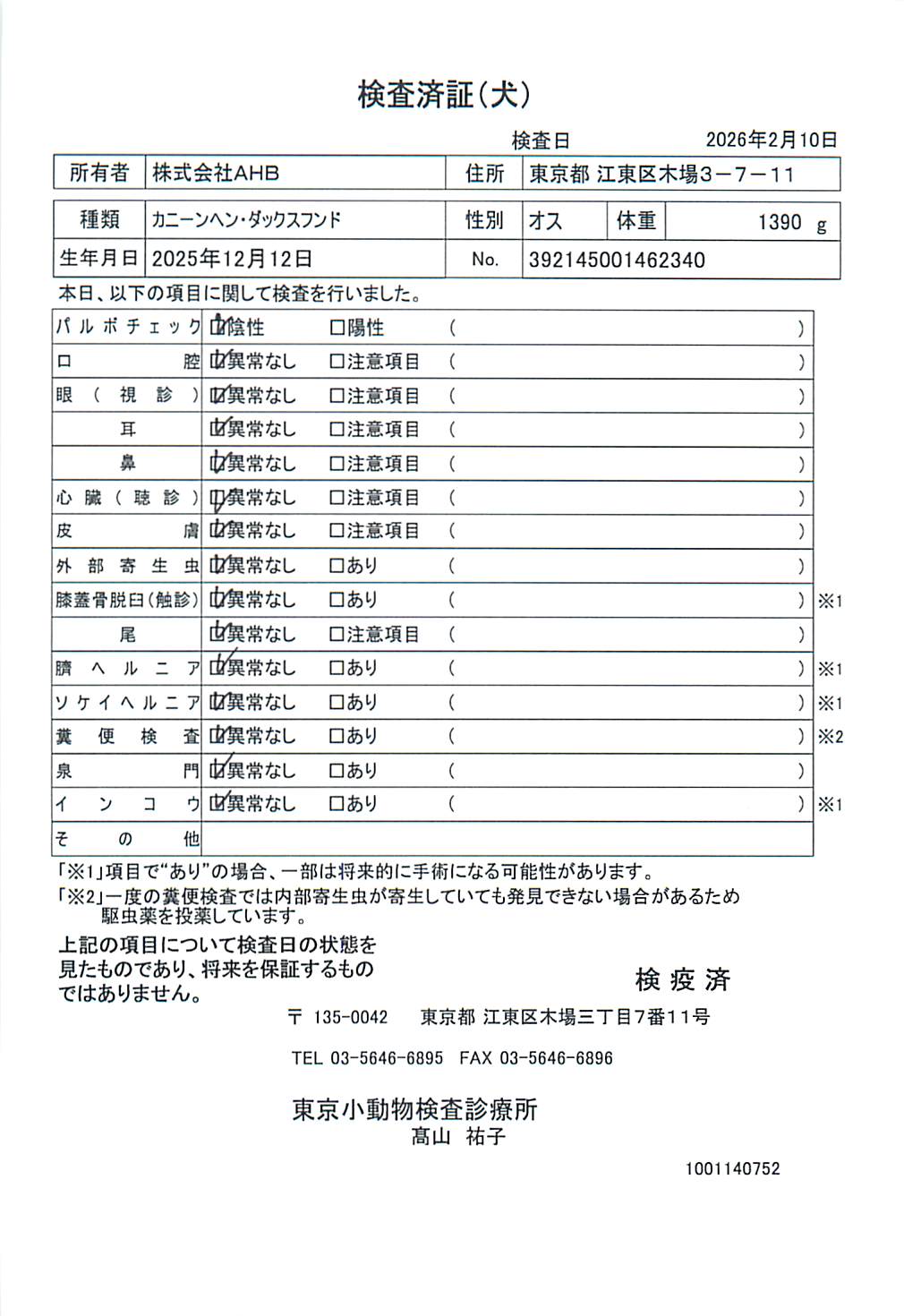 カニーンヘン・ダックスフンド
