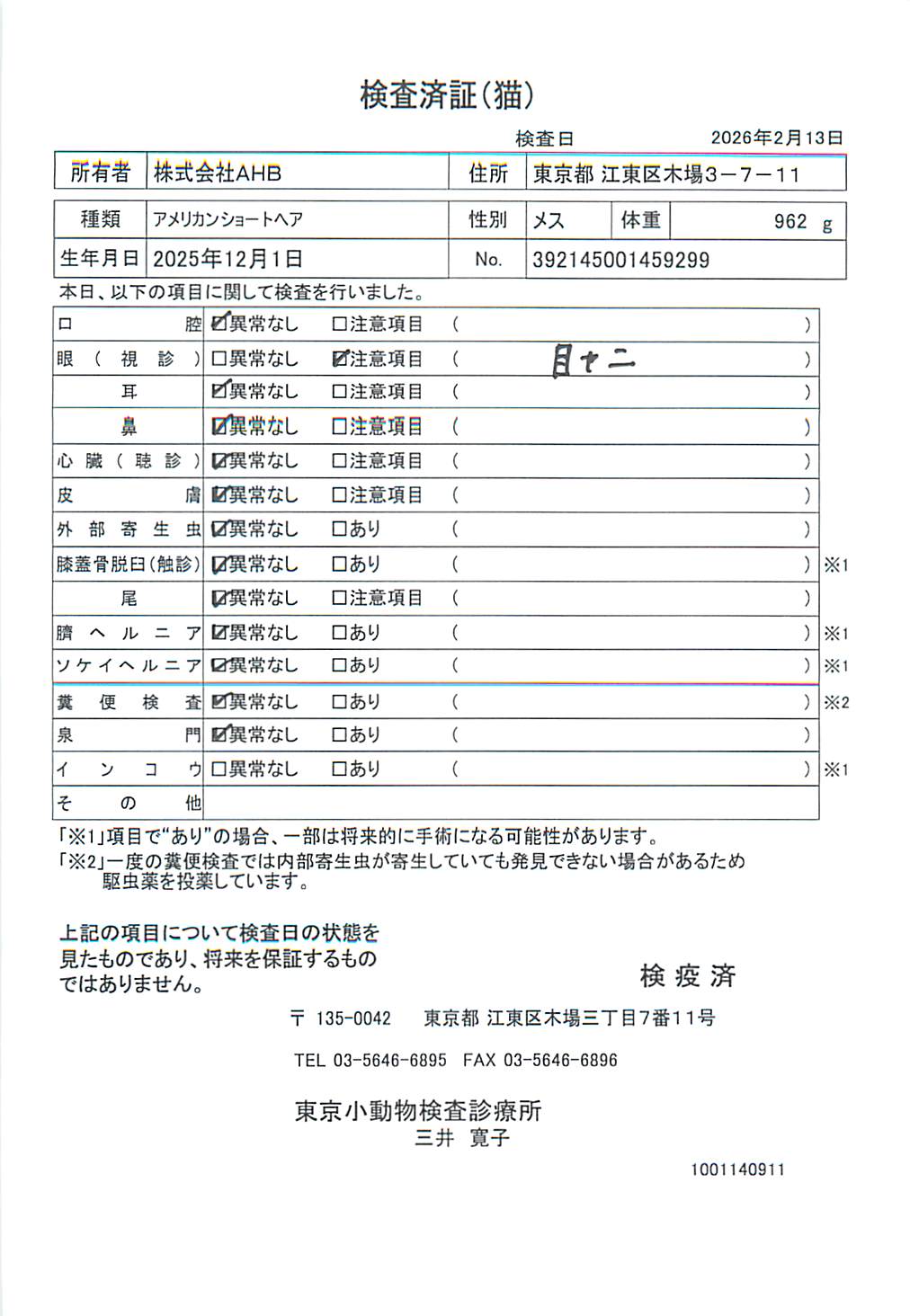 アメリカンショートヘア