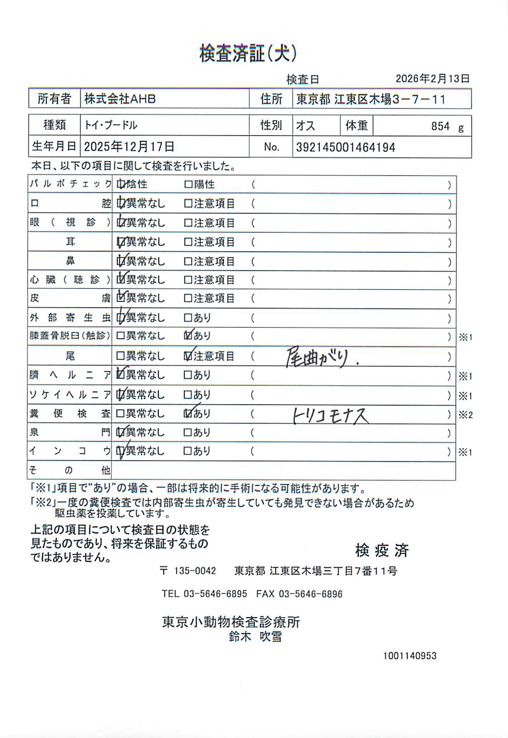 トイ・プードル