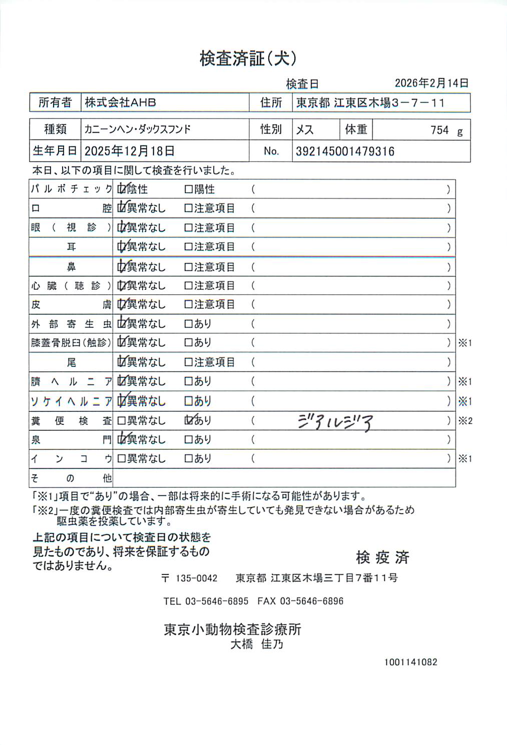 カニーンヘン・ダックスフンド