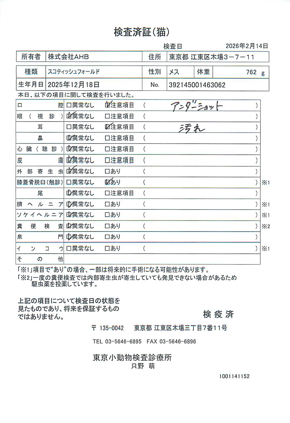 スコティッシュフォールド