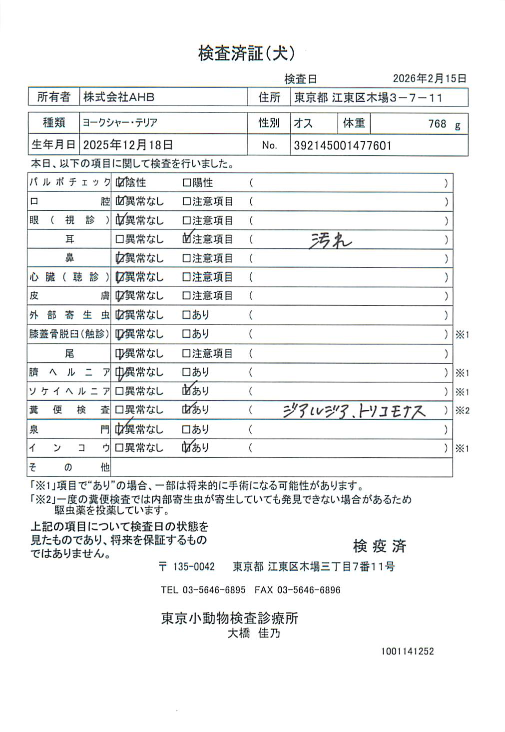 ヨークシャー・テリア