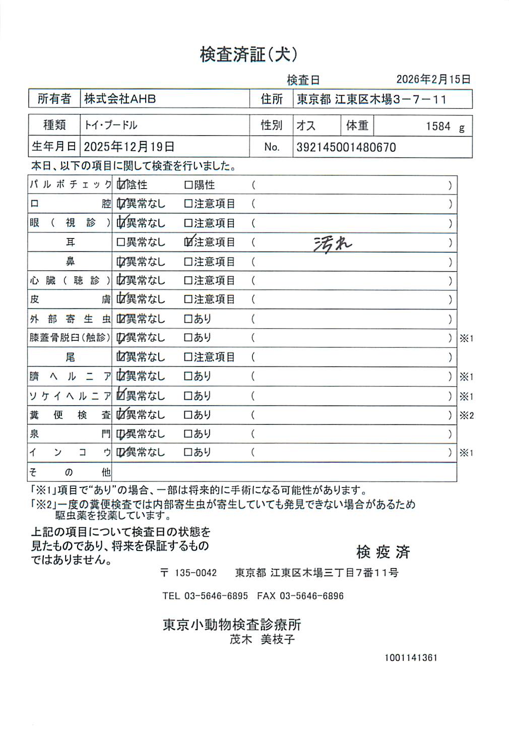 トイ・プードル