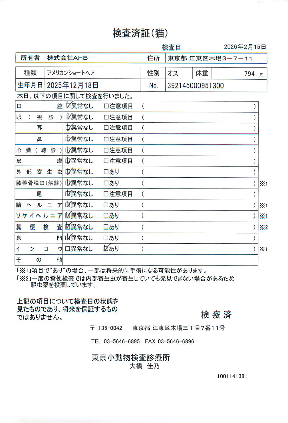 アメリカンショートヘア