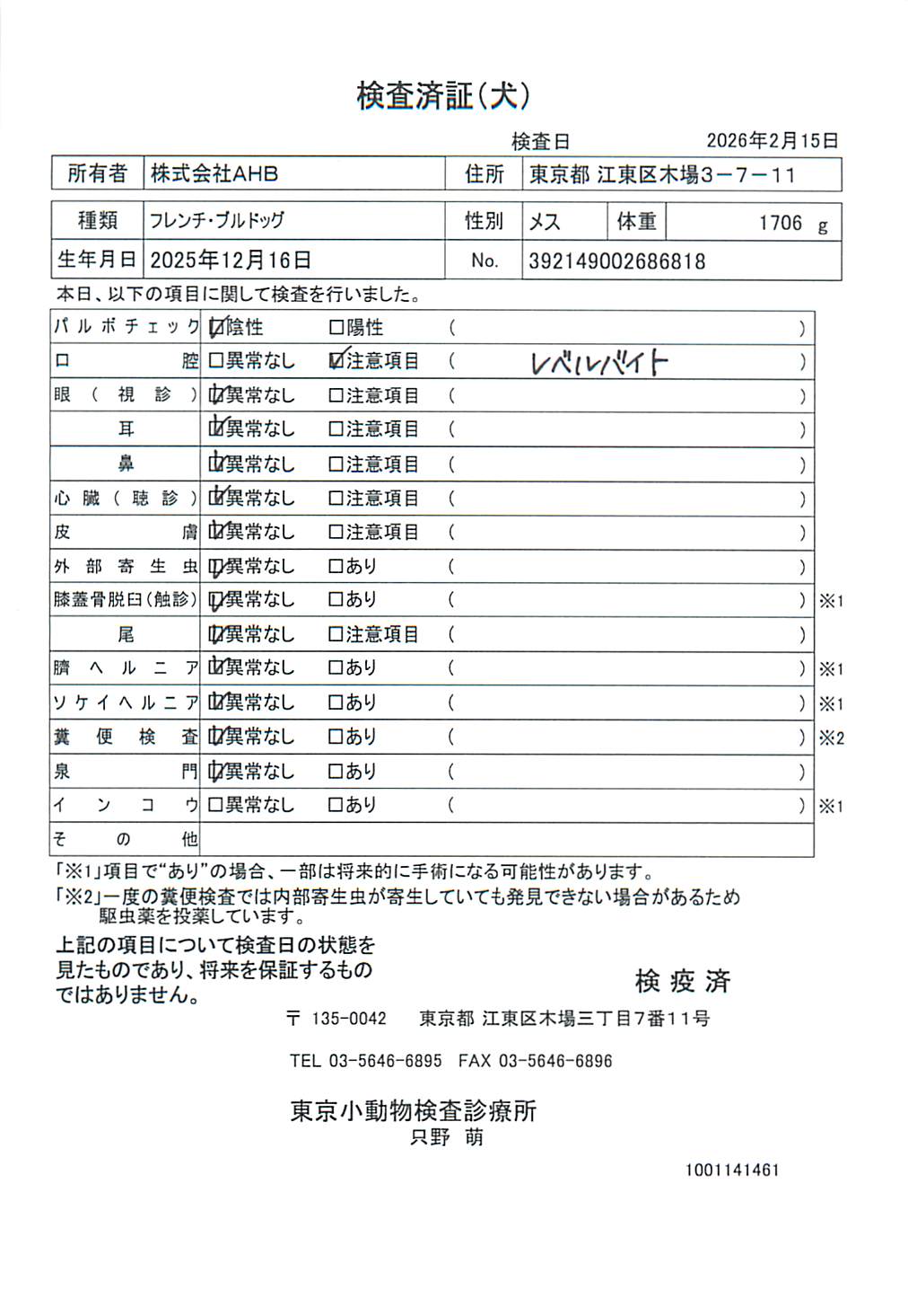フレンチ・ブルドッグ