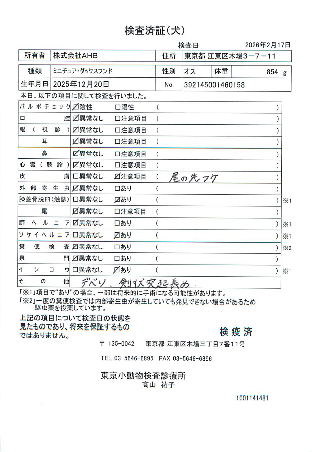 ミニチュア・ダックスフンド