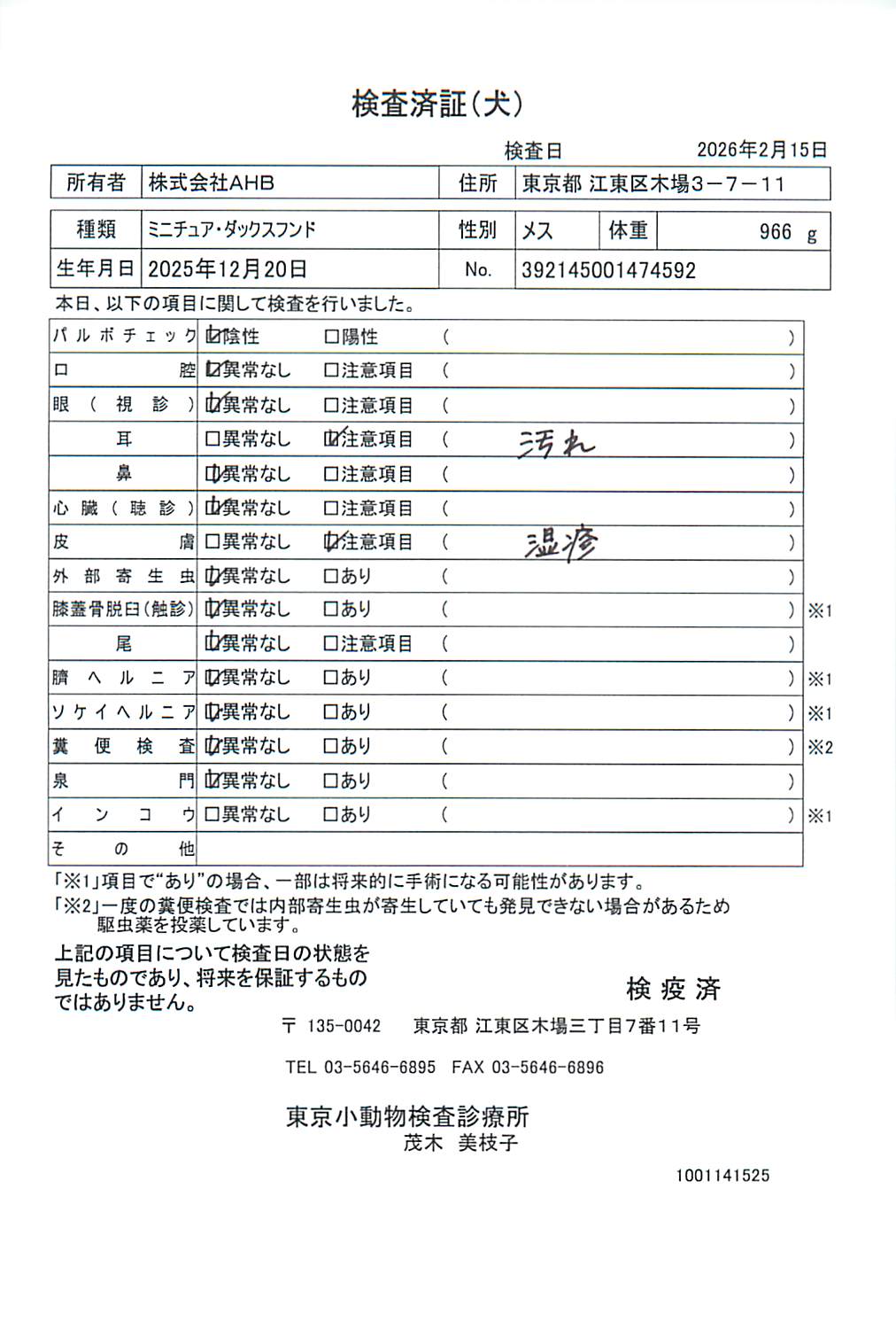 ミニチュア・ダックスフンド