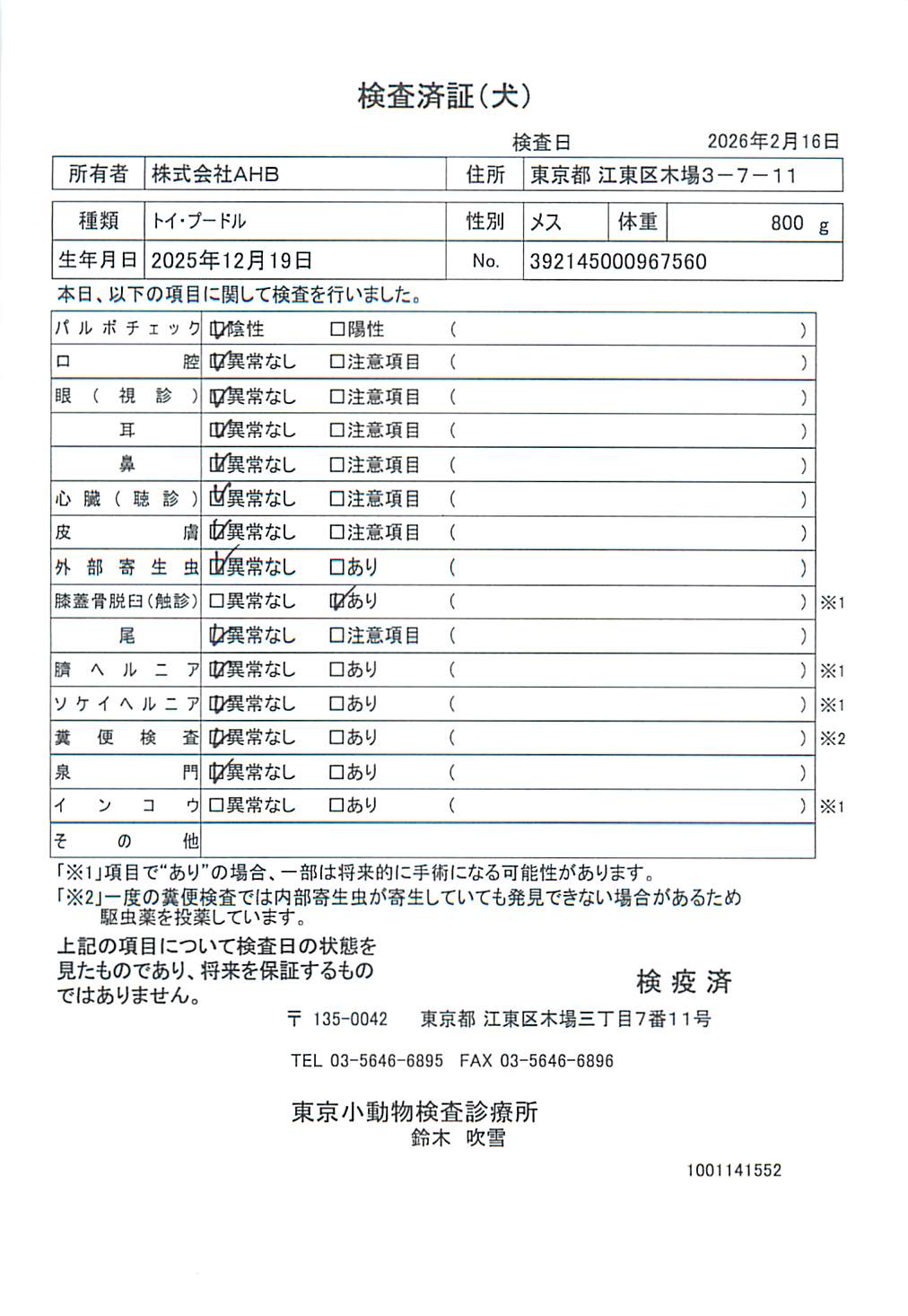 トイ・プードル