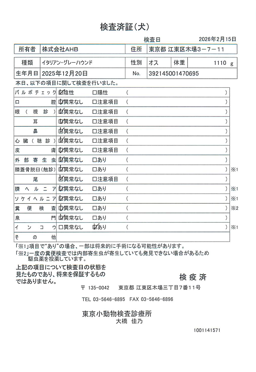 イタリアン・グレーハウンド