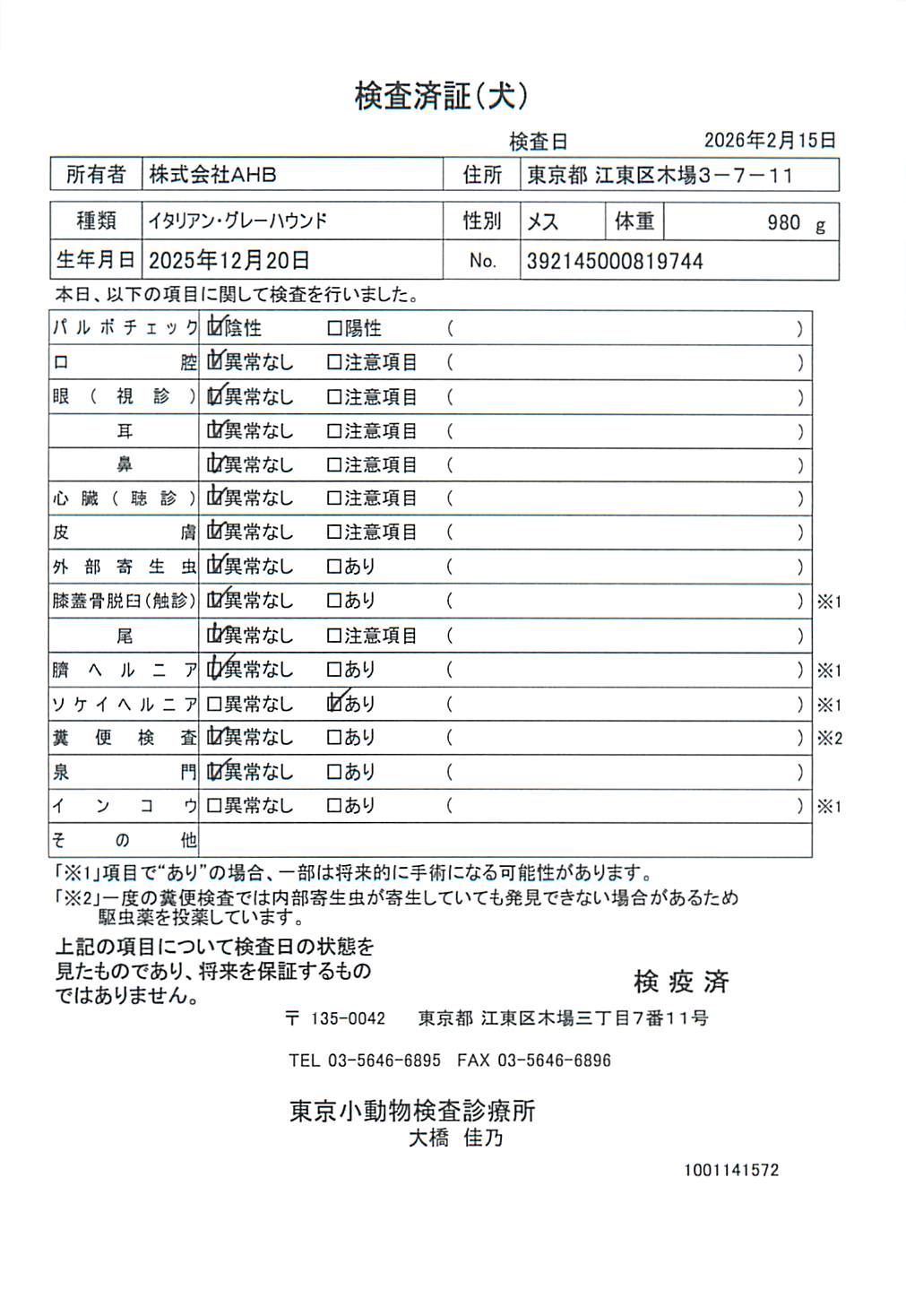イタリアン・グレーハウンド