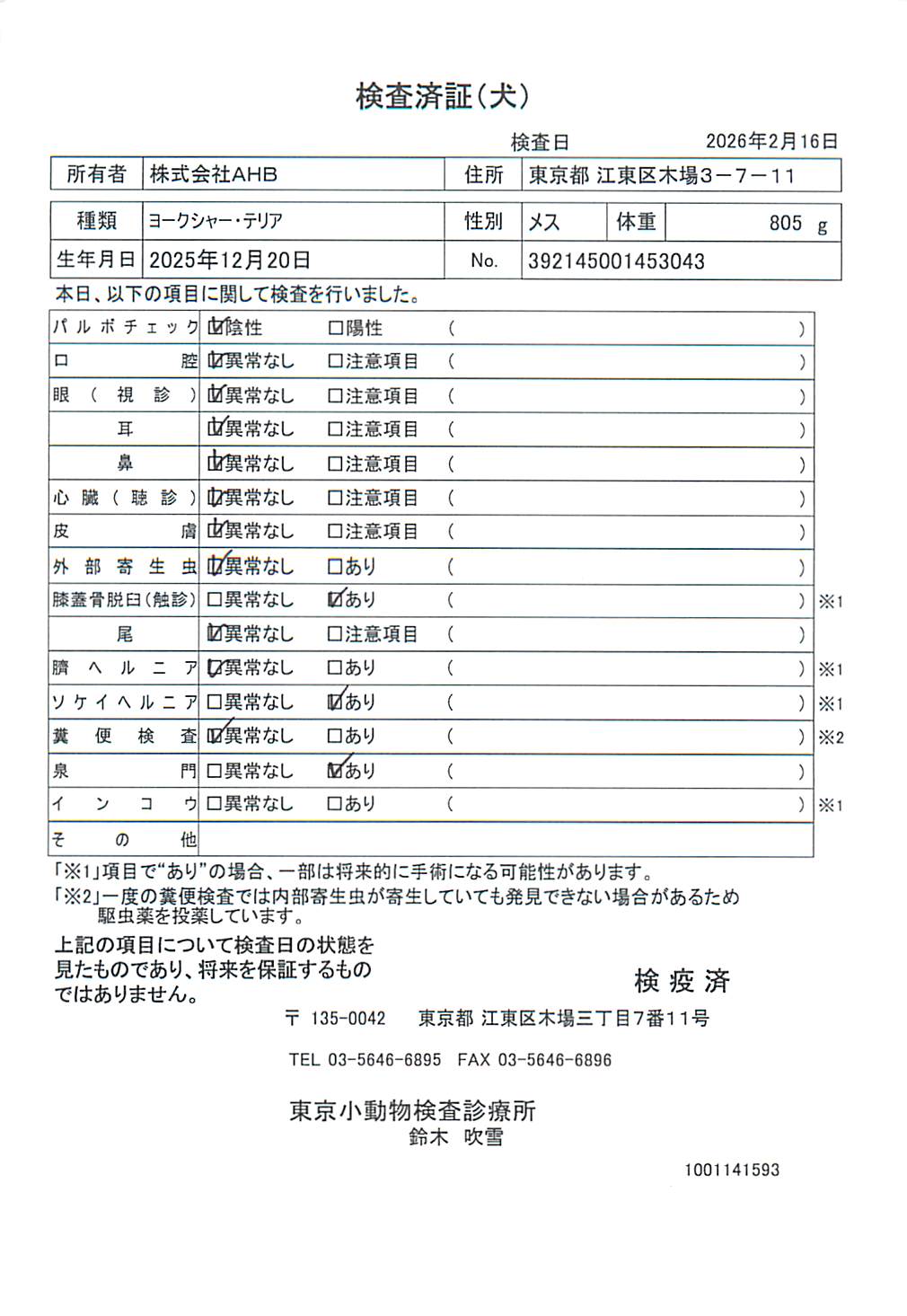 ヨークシャー・テリア