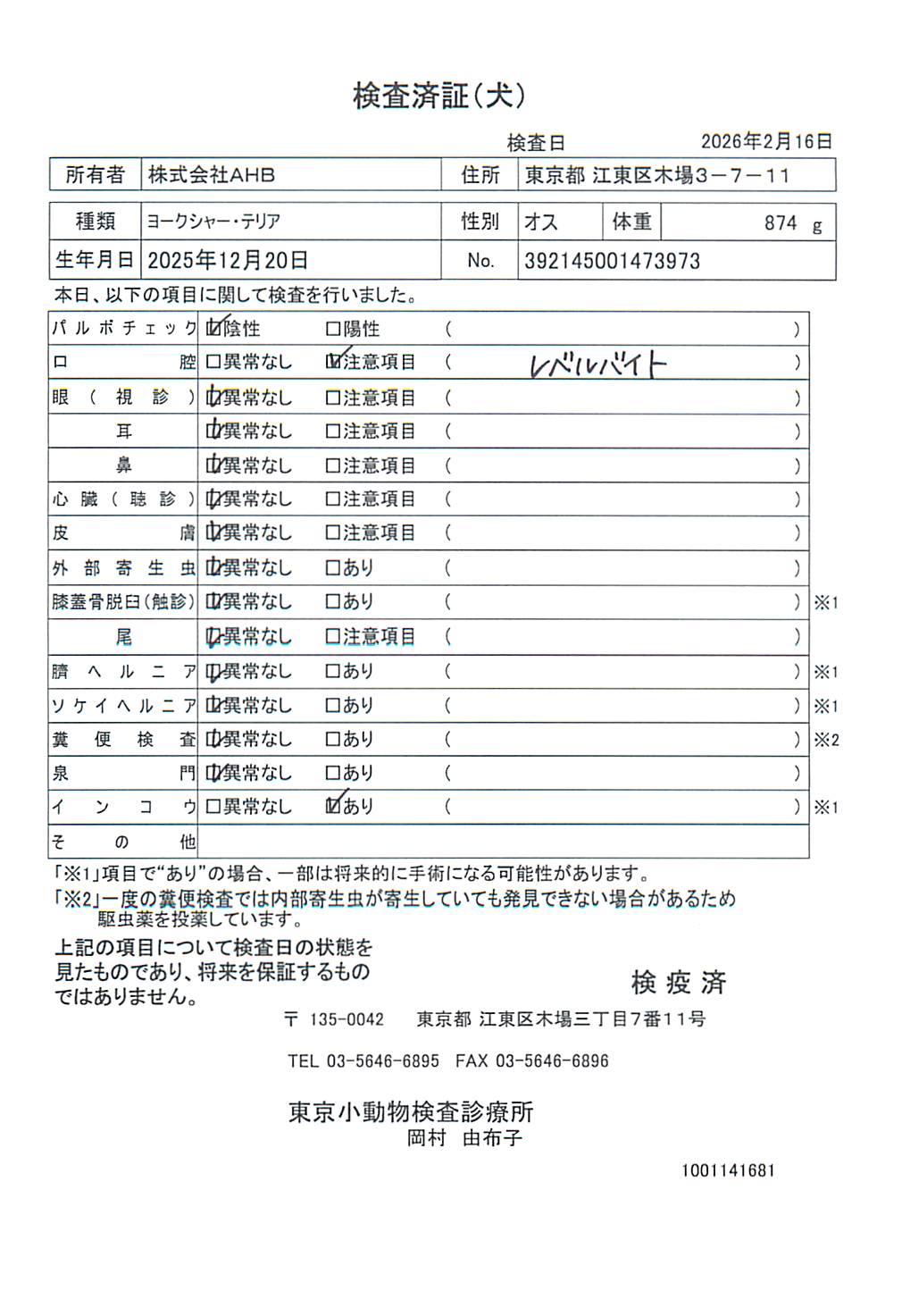 ヨークシャー・テリア