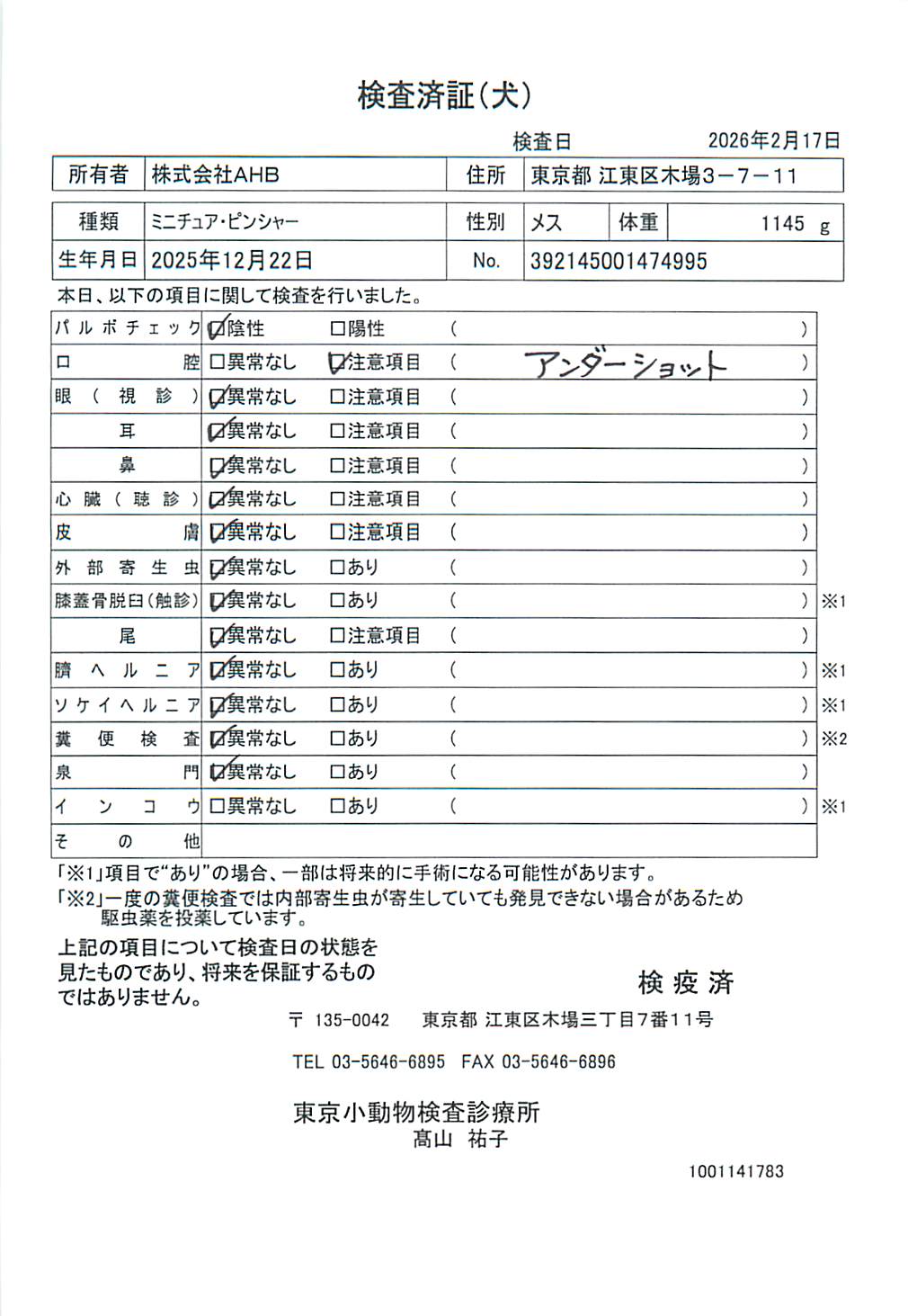 ミニチュア・ピンシャー