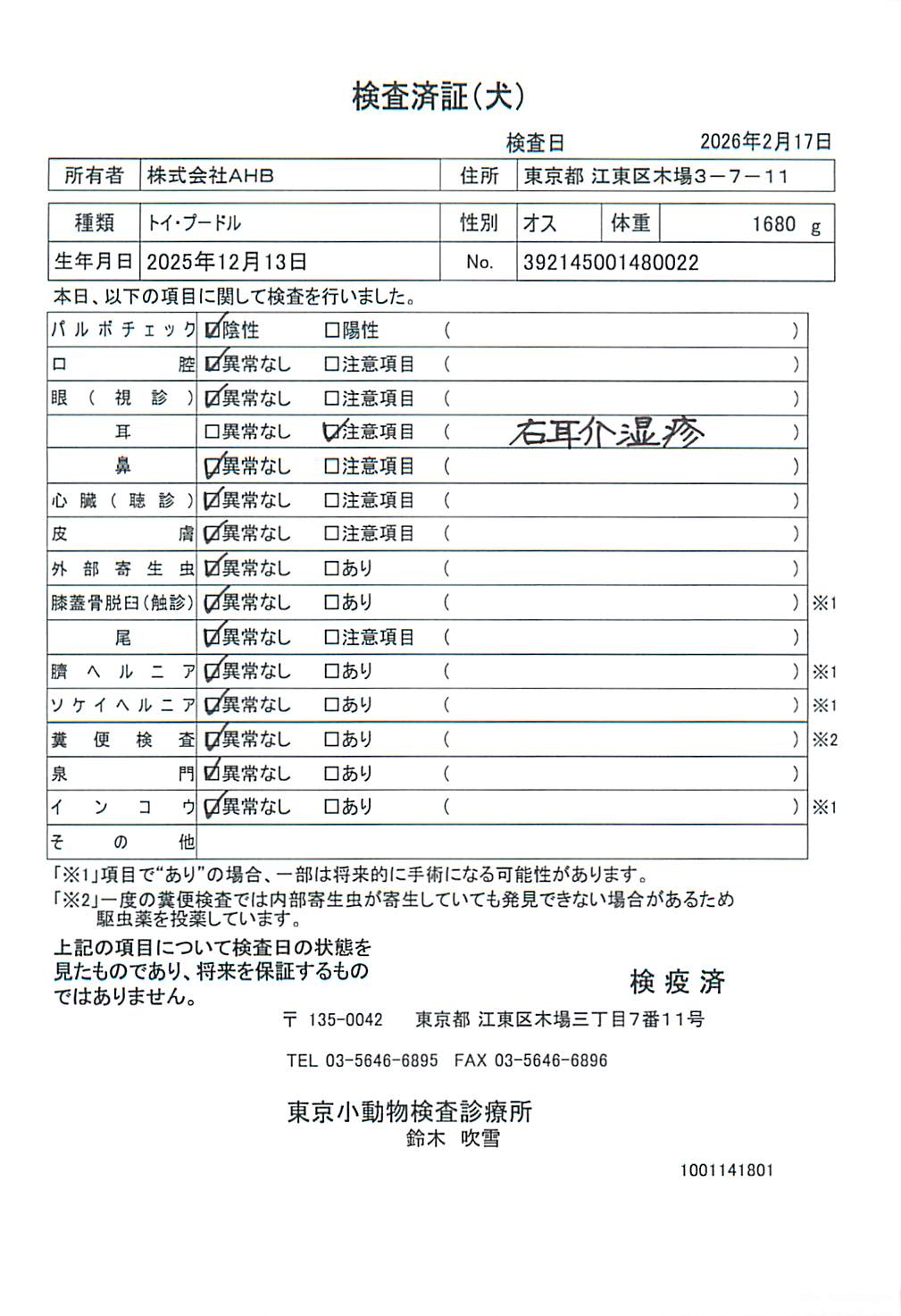 トイ・プードル