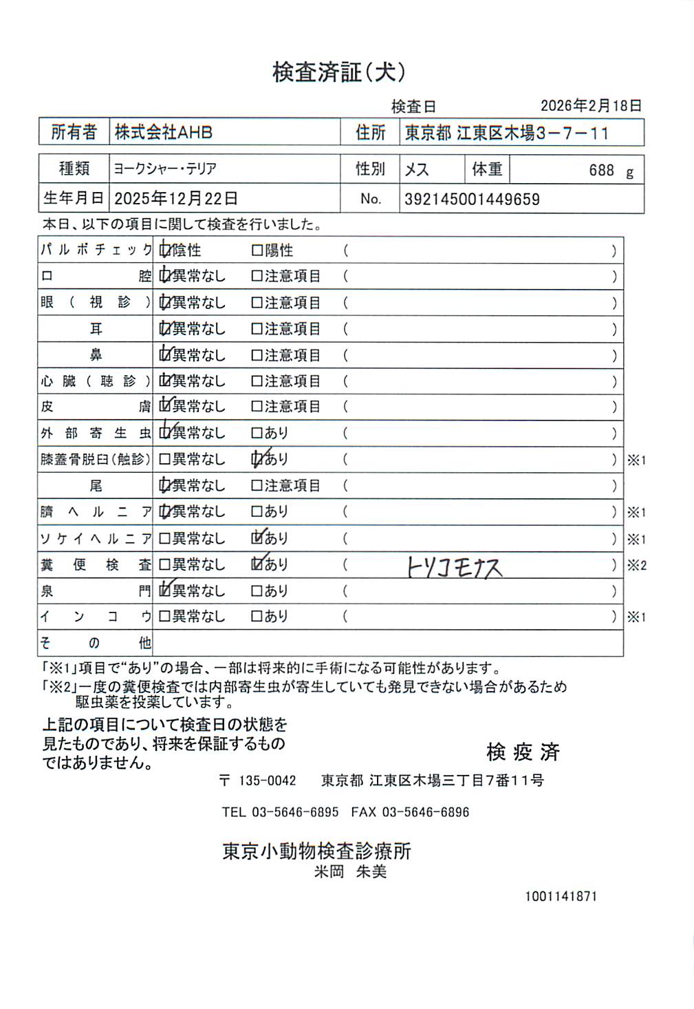 ヨークシャー・テリア