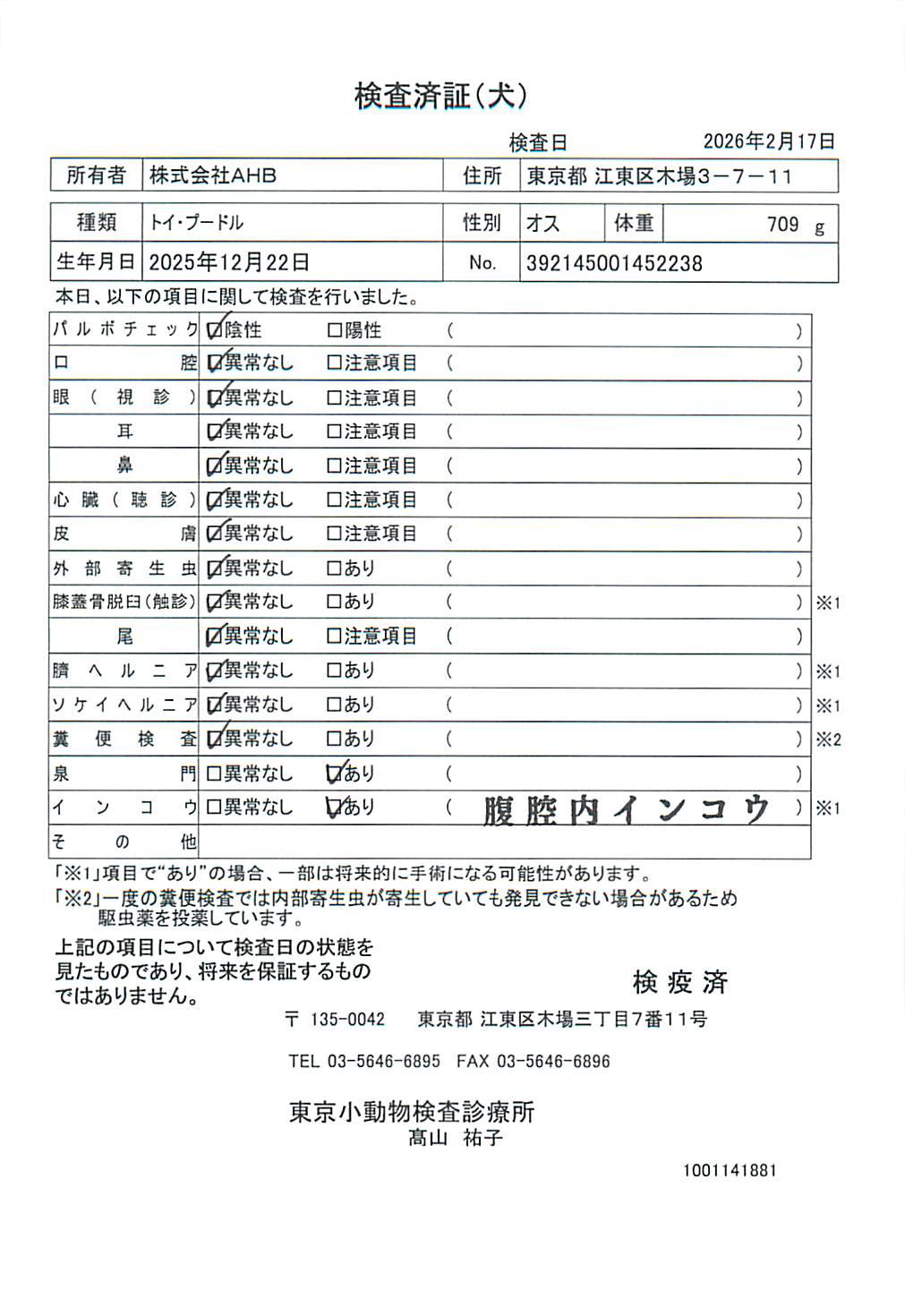 トイ・プードル