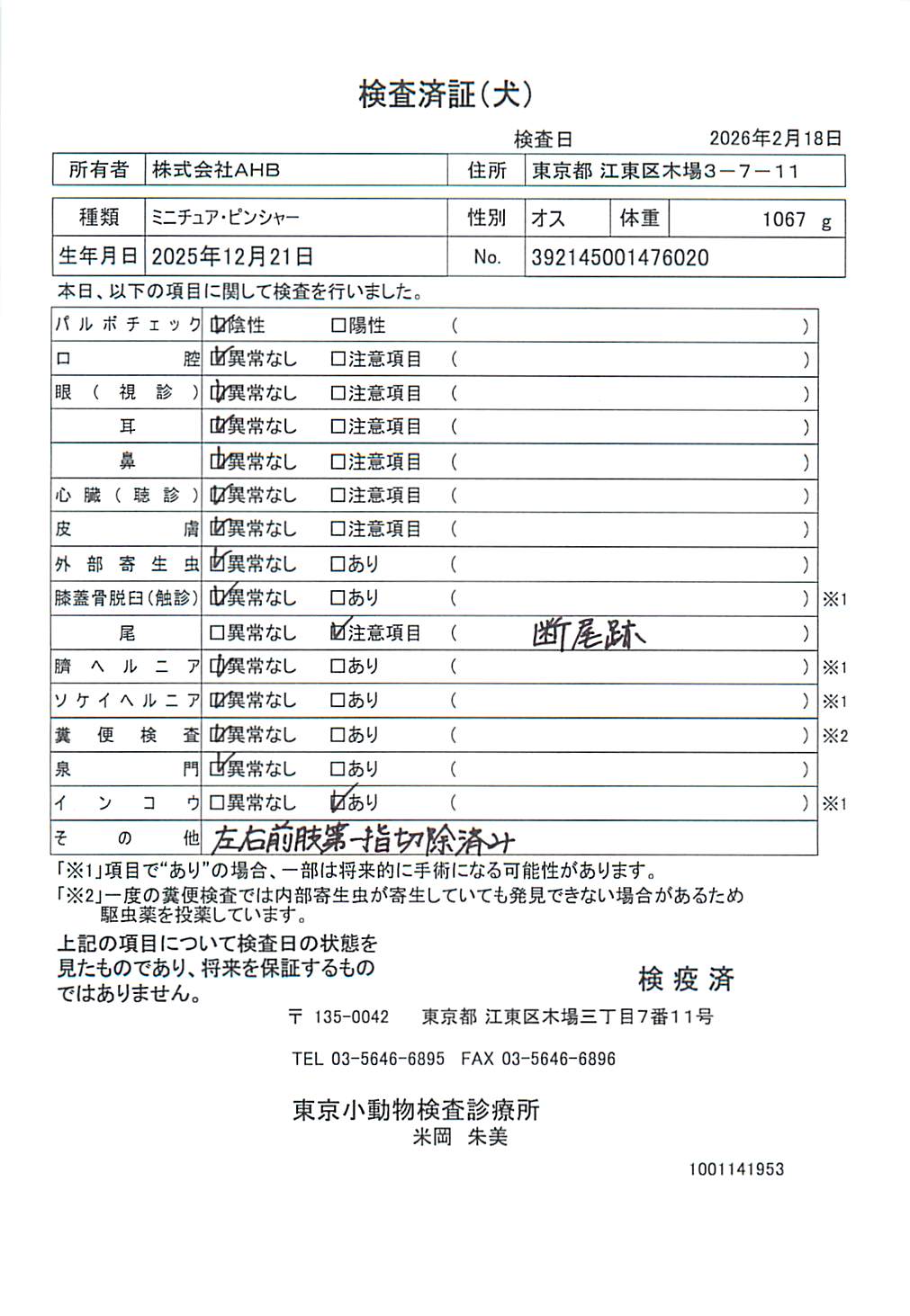 ミニチュア・ピンシャー