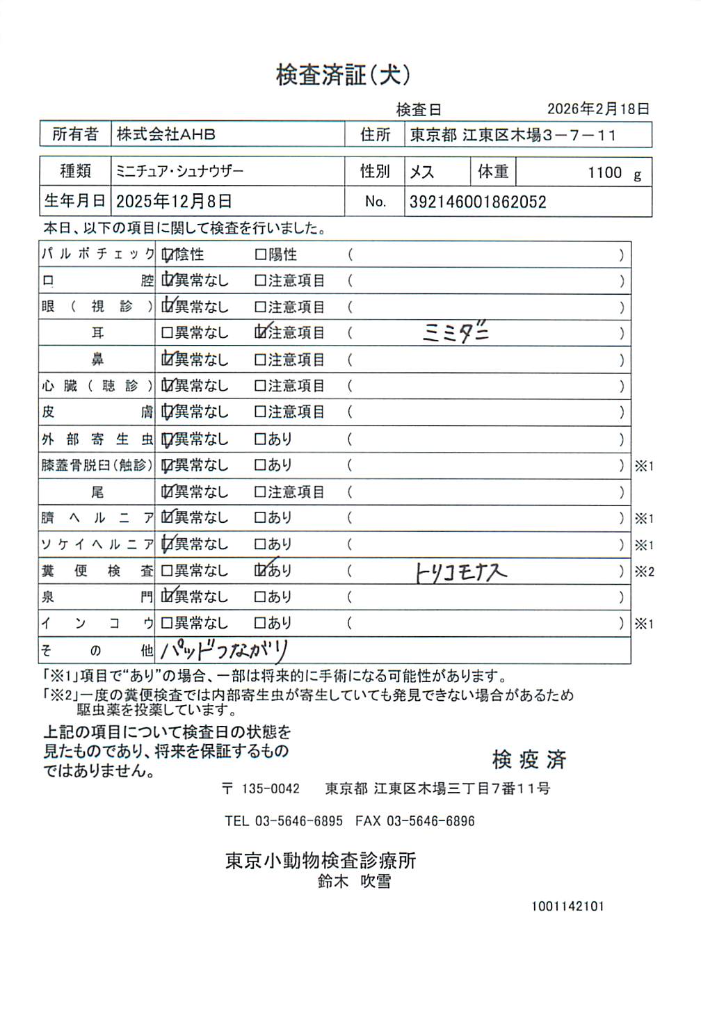 ミニチュア・シュナウザー
