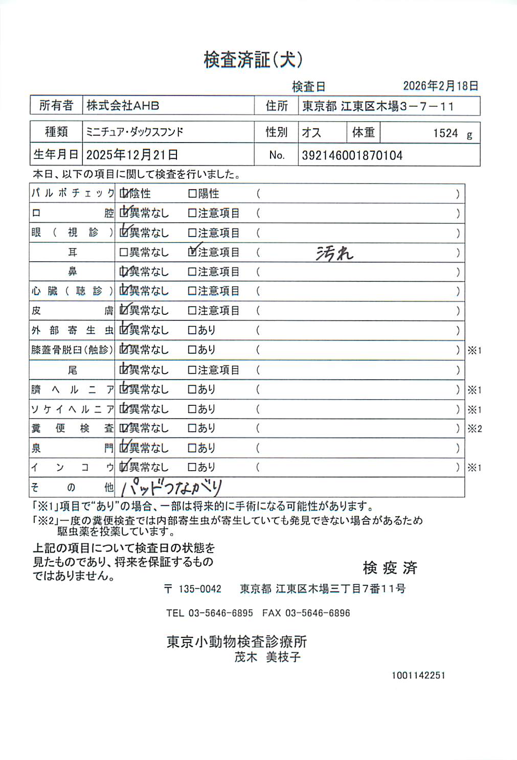 ミニチュア・ダックスフンド
