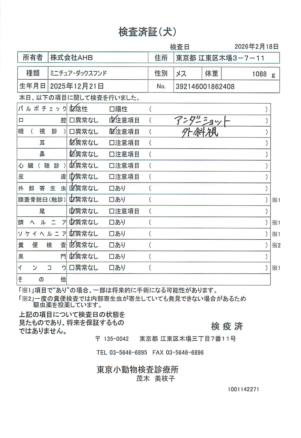 ミニチュア・ダックスフンド