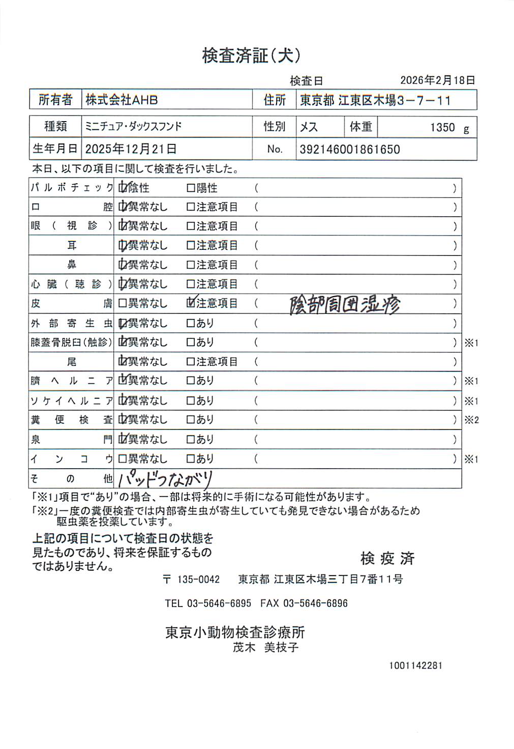 ミニチュア・ダックスフンド