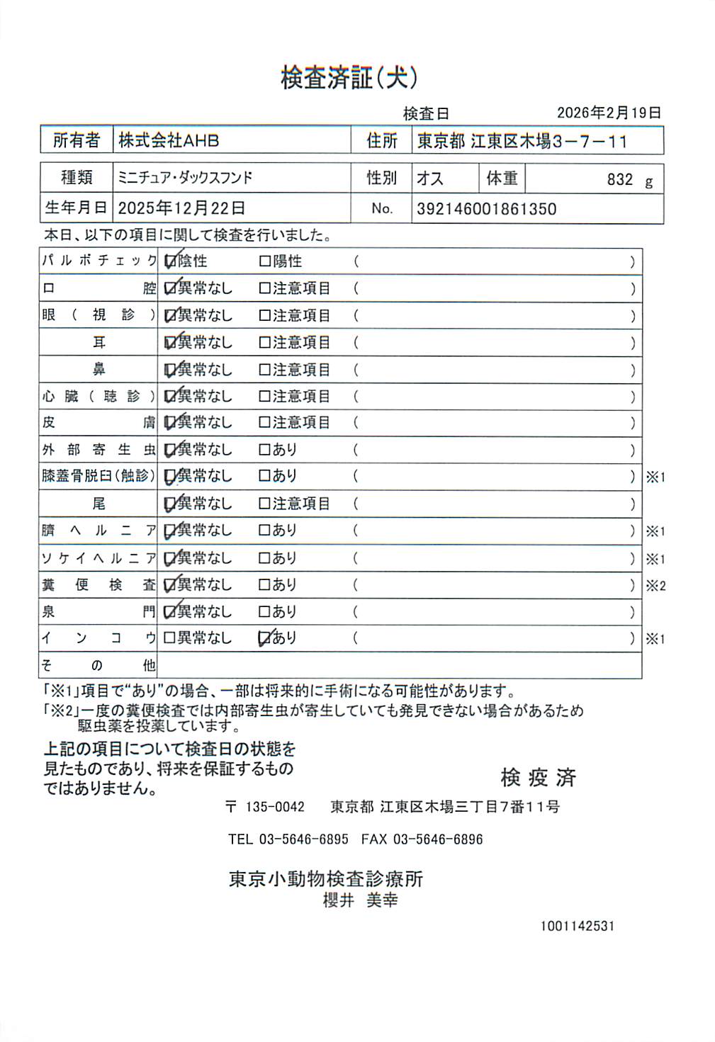 ミニチュア・ダックスフンド