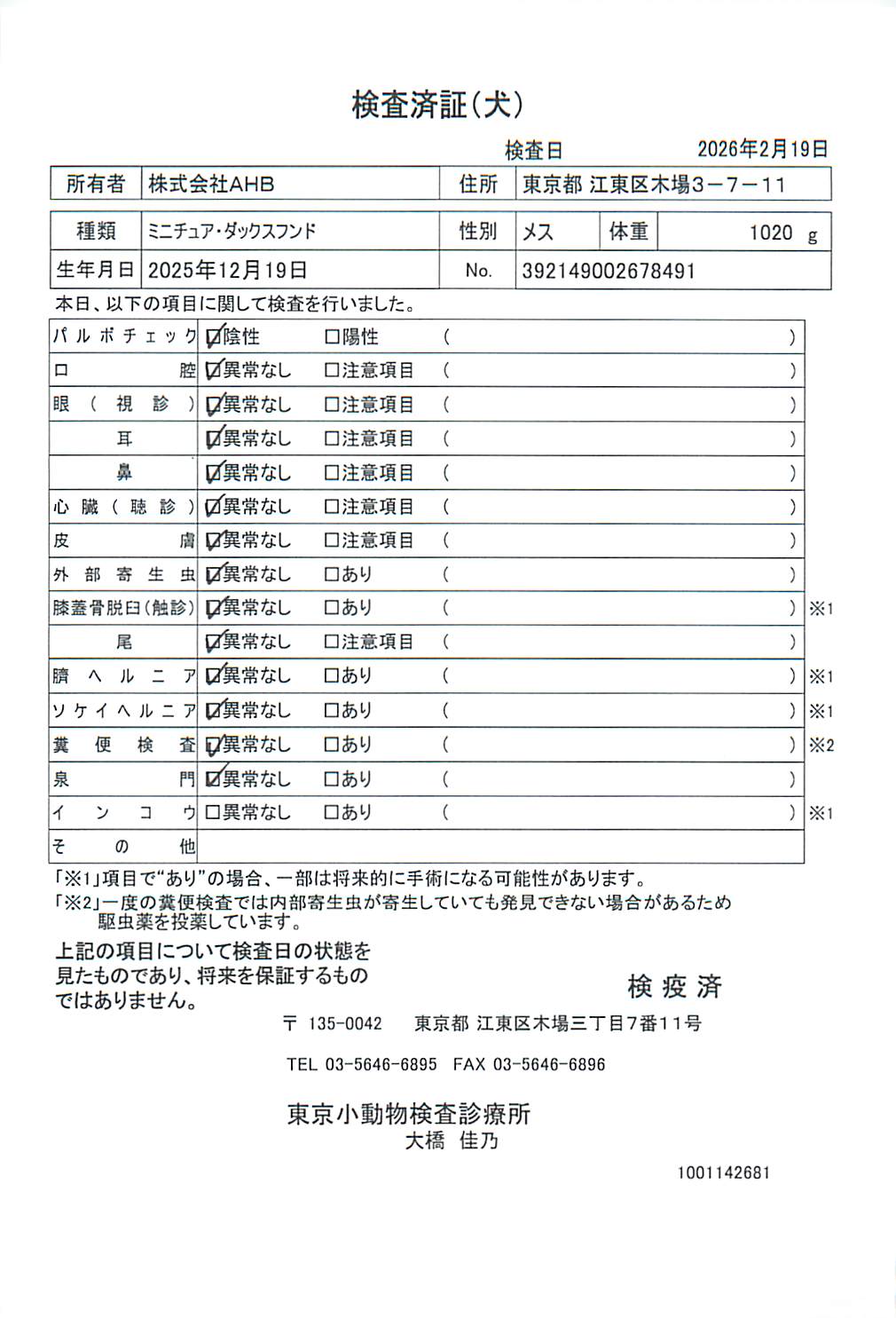 ミニチュア・ダックスフンド