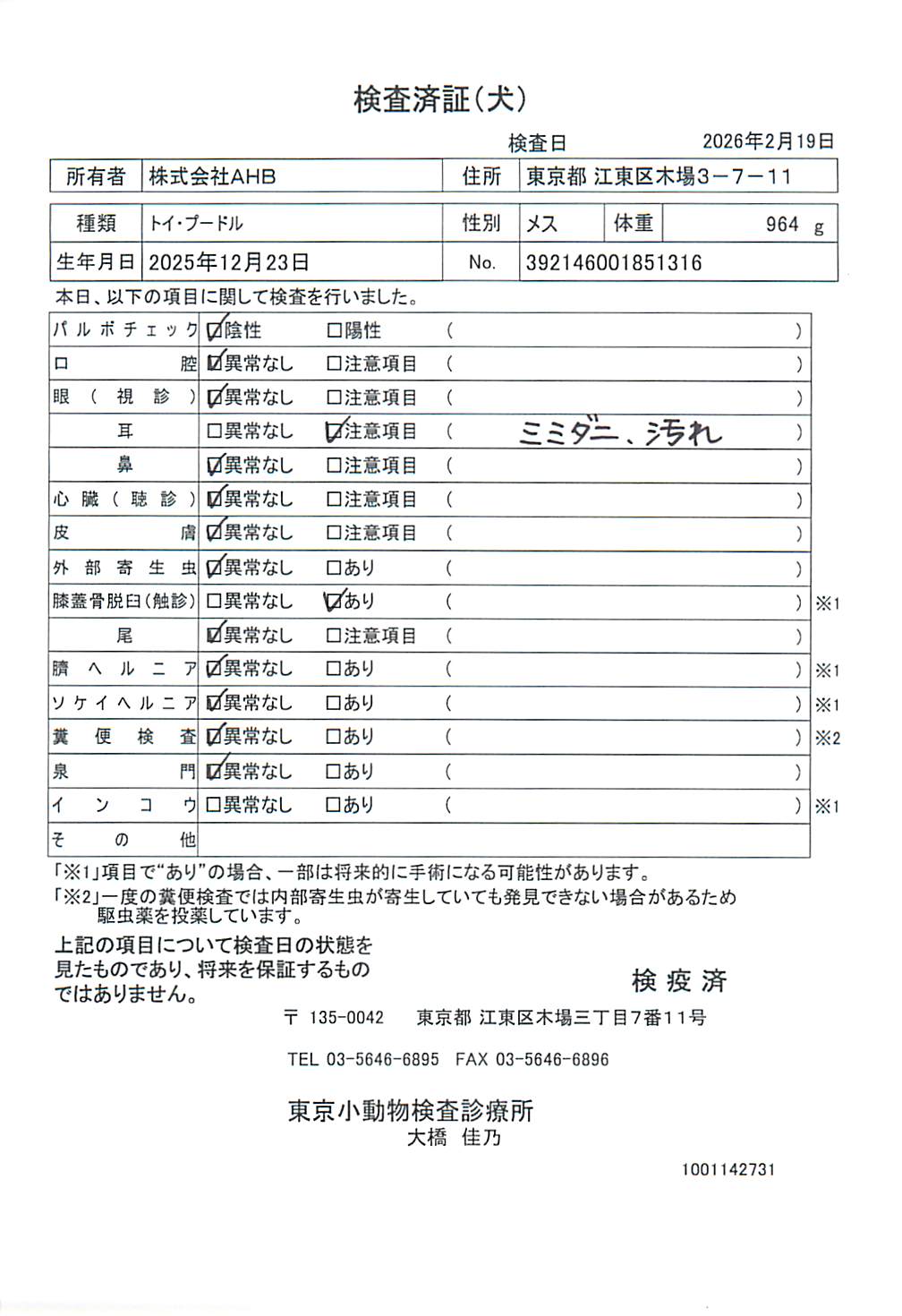 トイ・プードル
