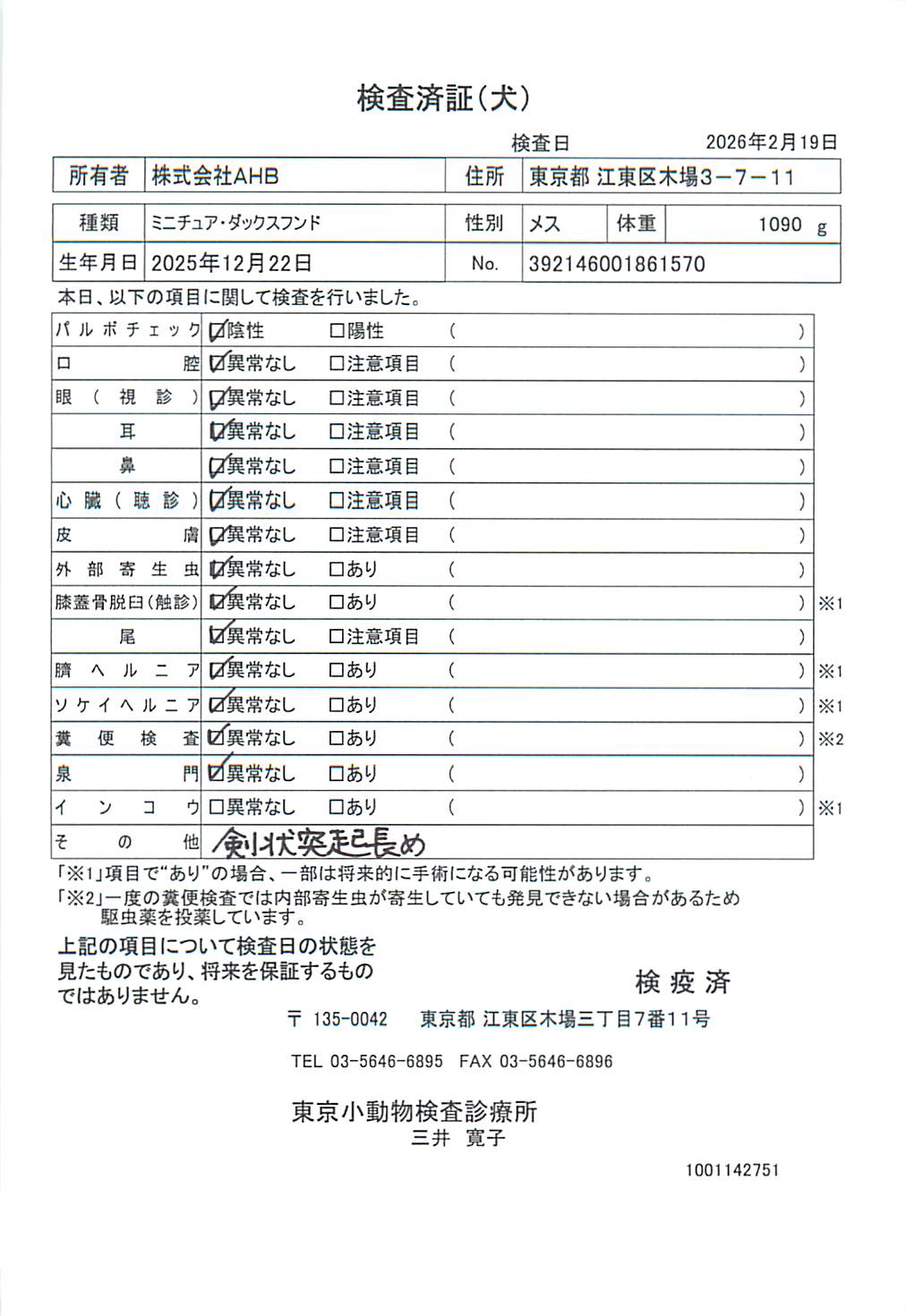 ミニチュア・ダックスフンド