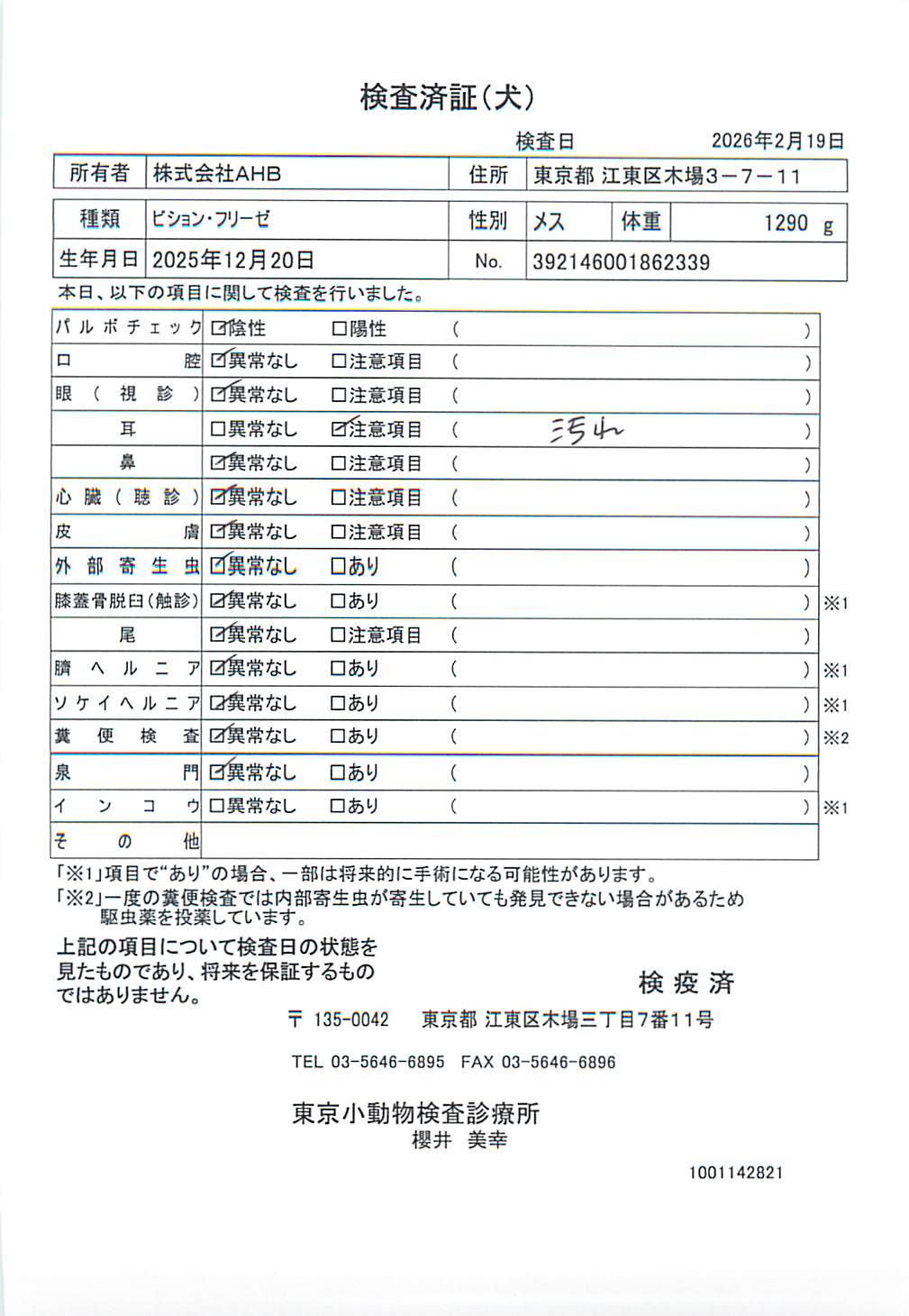 ビション・フリーゼ