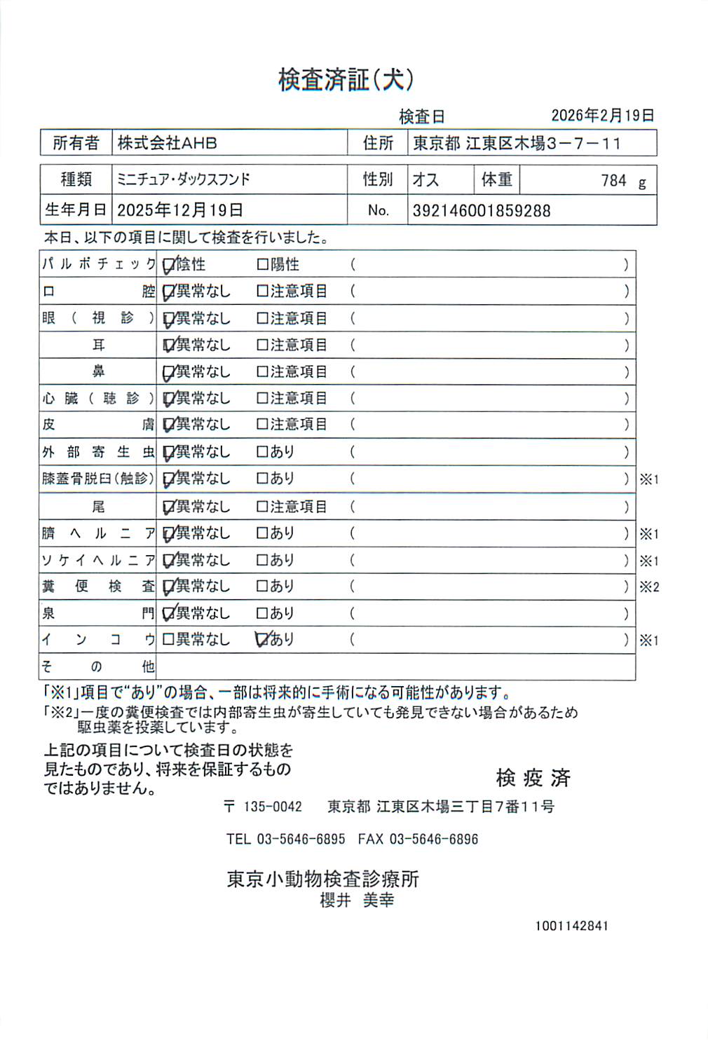 ミニチュア・ダックスフンド