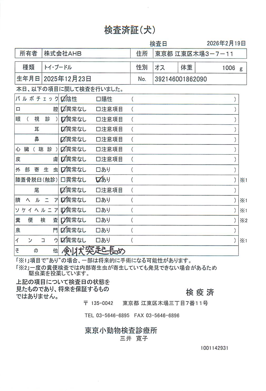 トイ・プードル