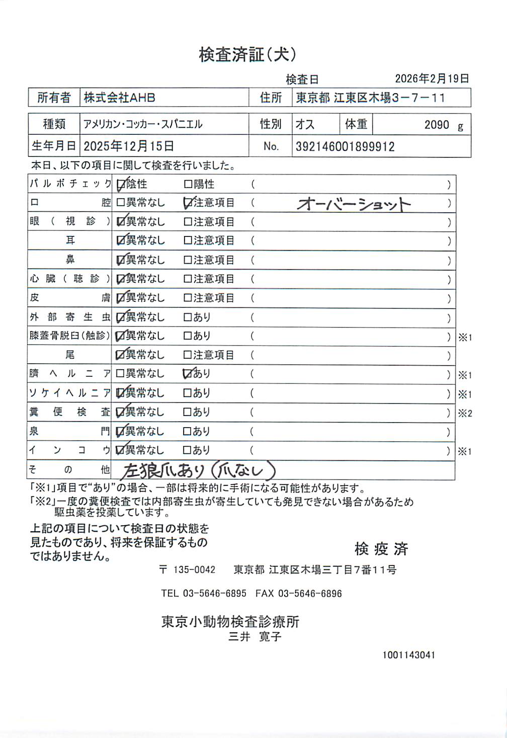 アメリカン・コッカー・スパニエル