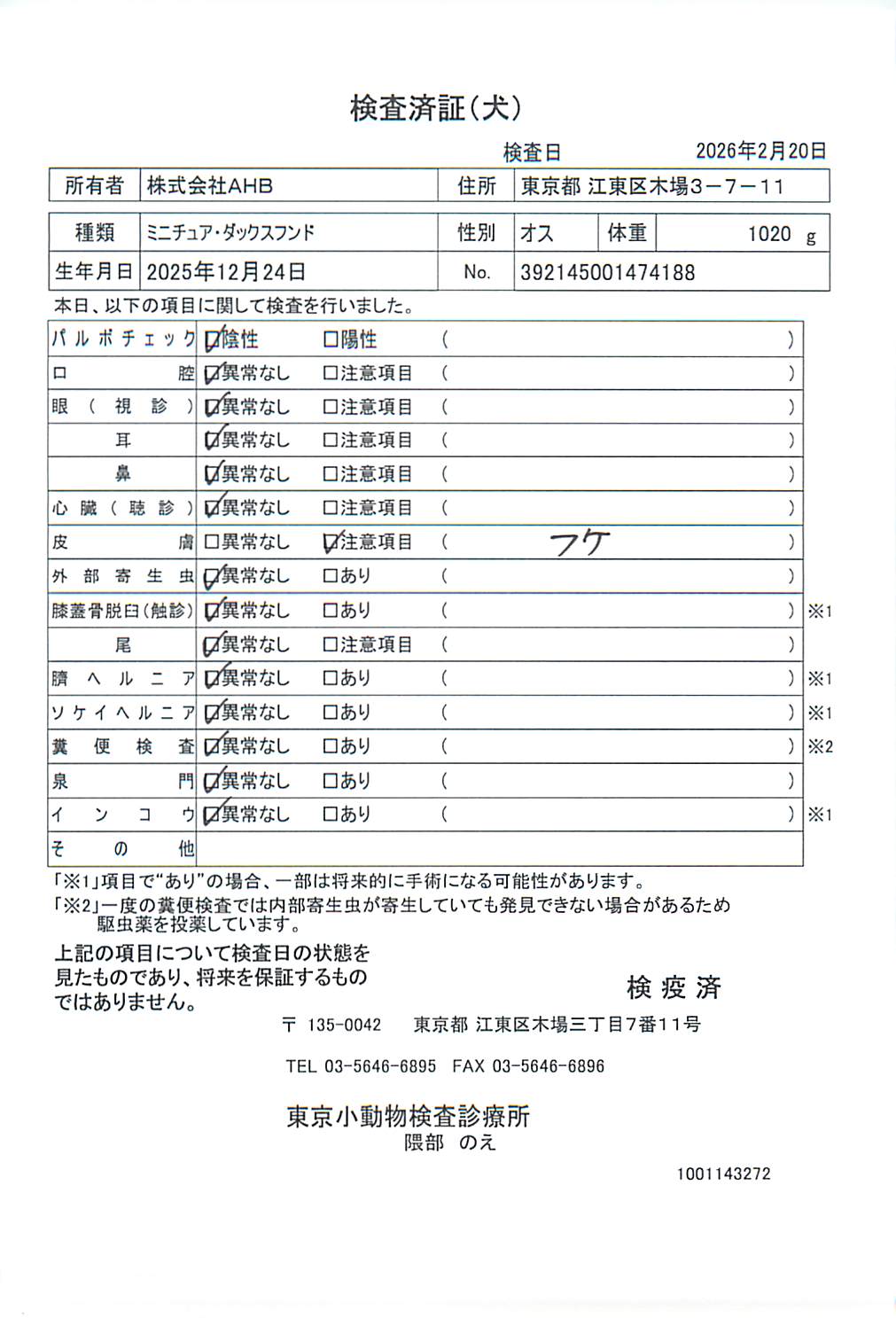 ミニチュア・ダックスフンド