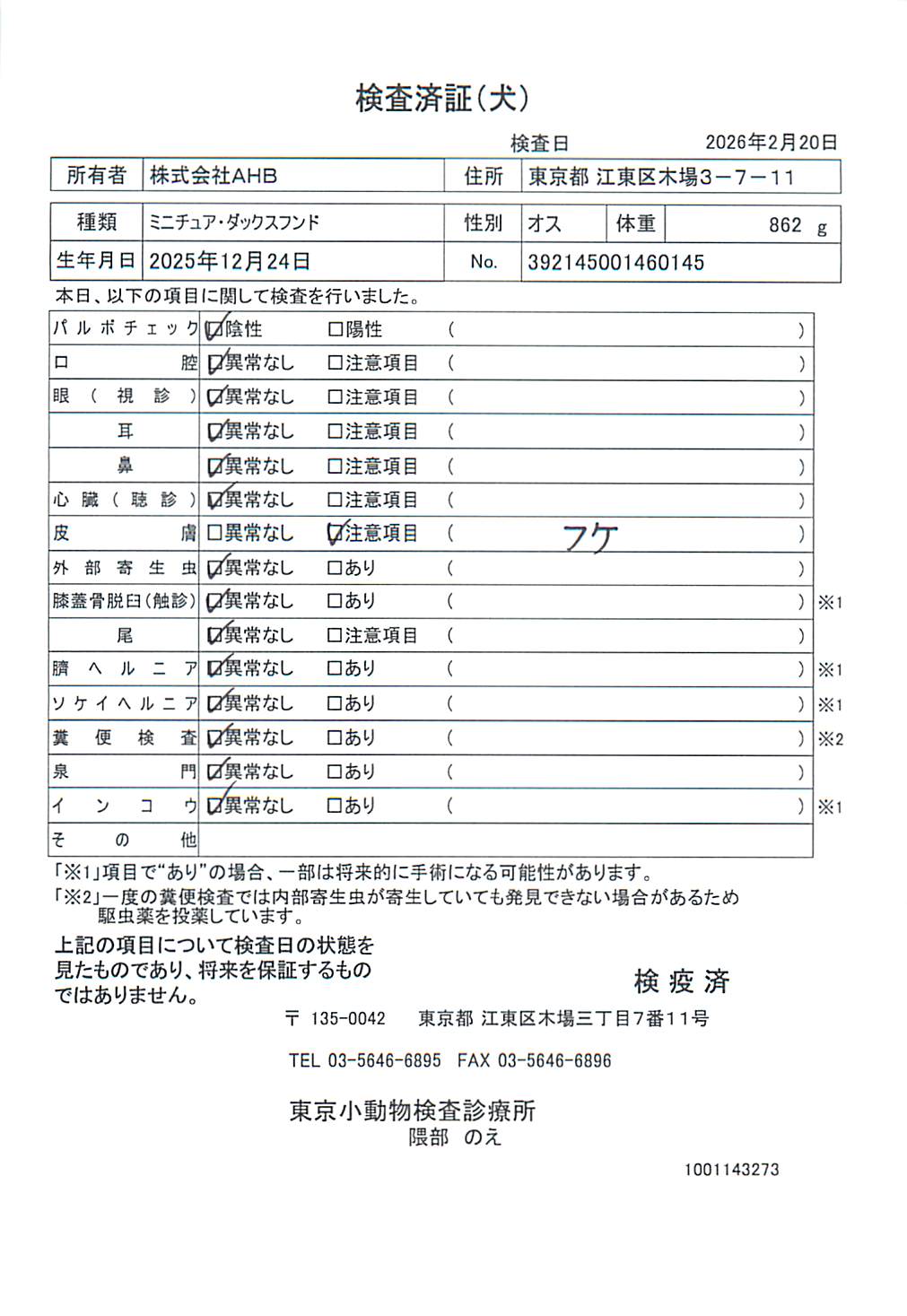 ミニチュア・ダックスフンド
