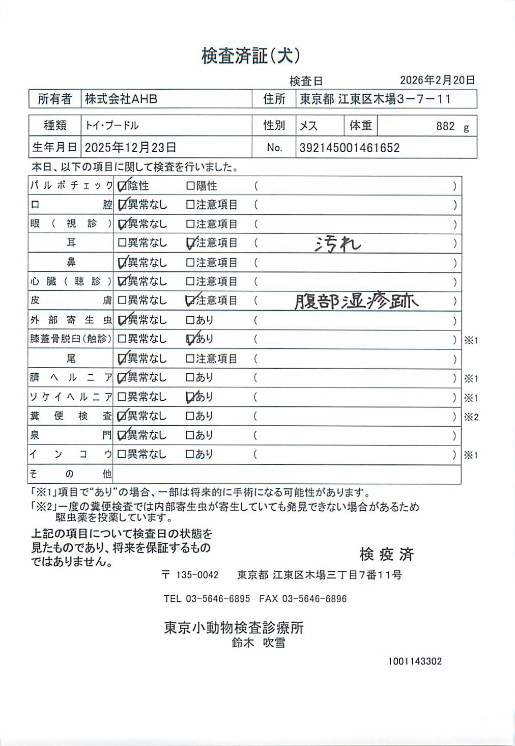 トイ・プードル