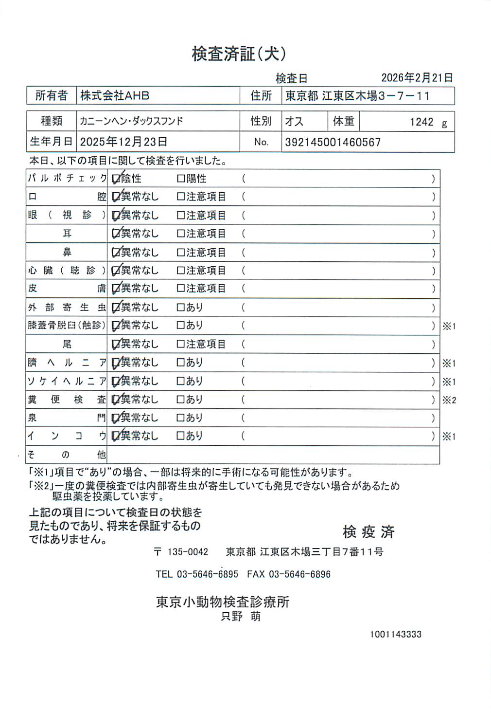 カニーンヘン・ダックスフンド