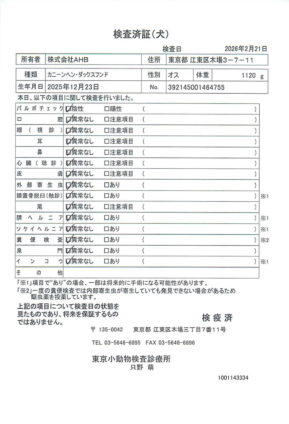 カニーンヘン・ダックスフンド