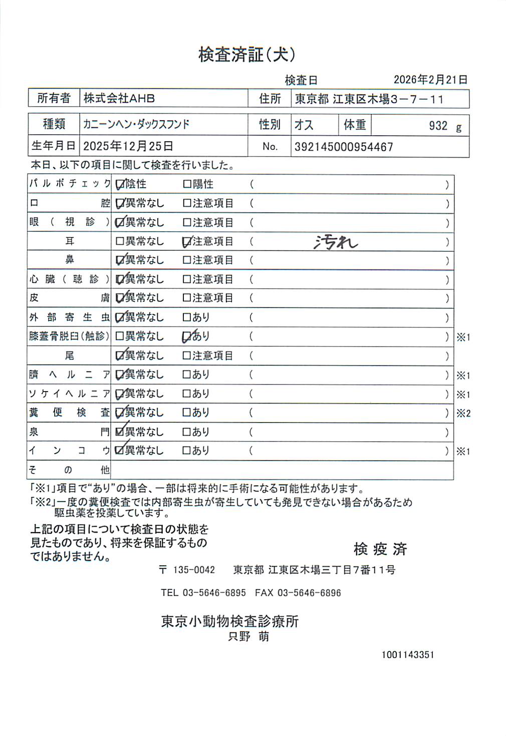 カニーンヘン・ダックスフンド