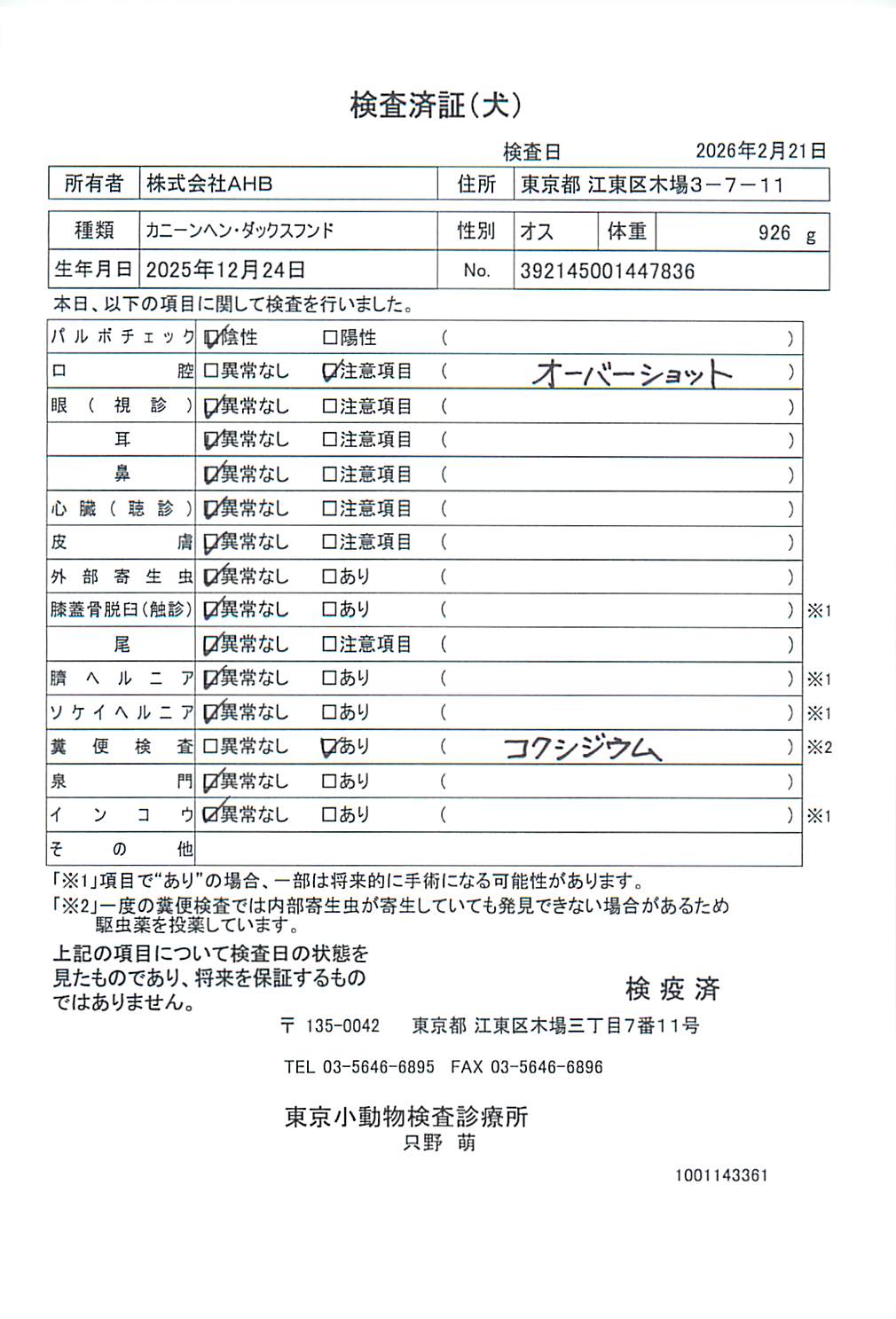 カニーンヘン・ダックスフンド