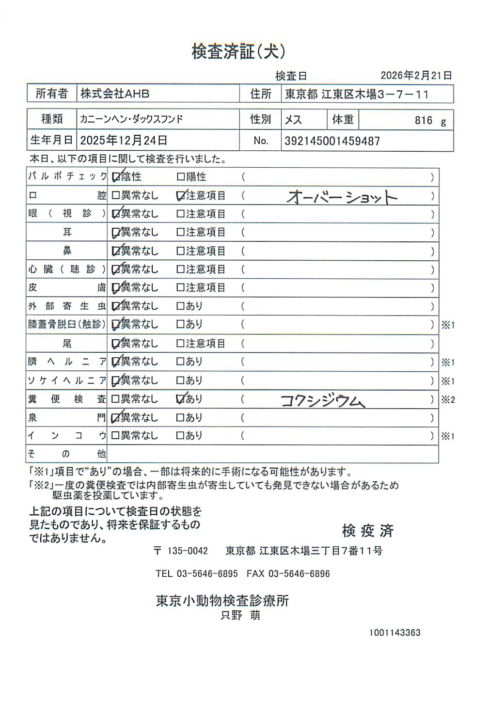 カニーンヘン・ダックスフンド