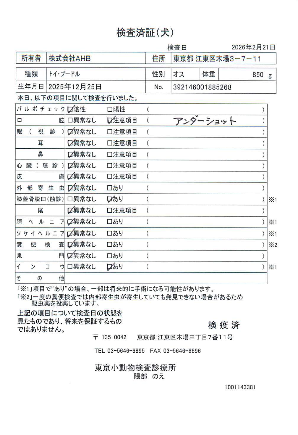 トイ・プードル