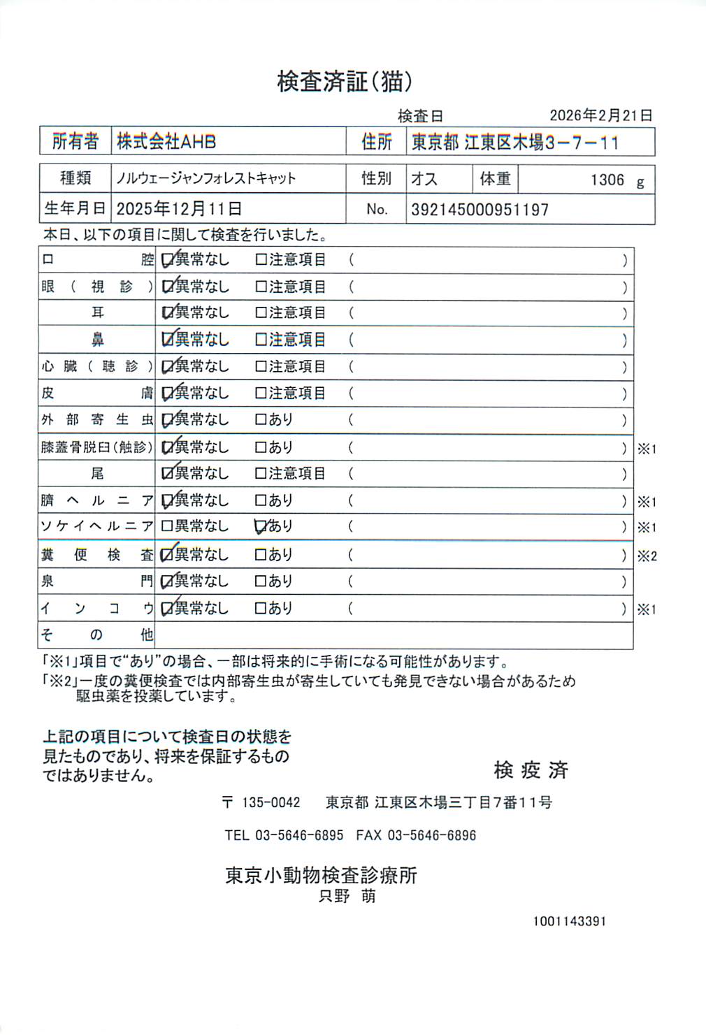 ノルウェージャンフォレストキャット