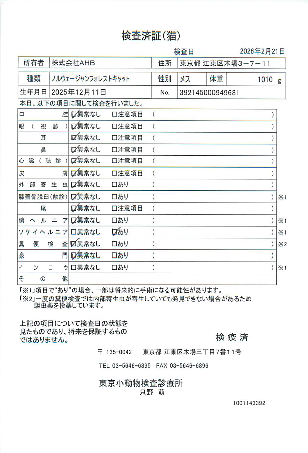 ノルウェージャンフォレストキャット