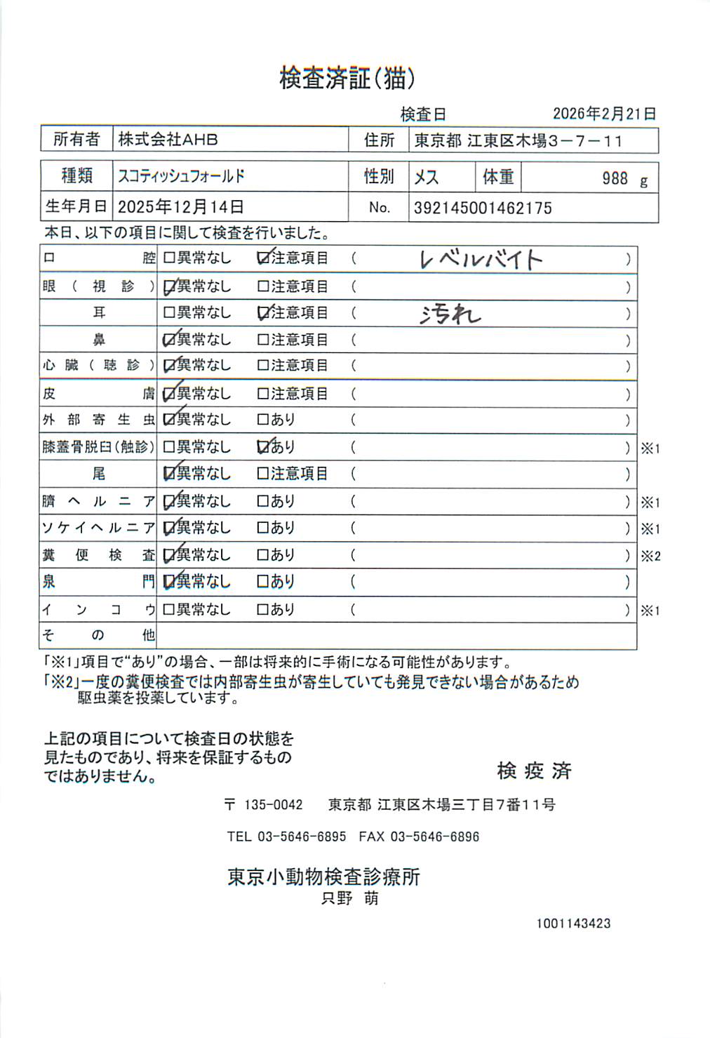 スコティッシュフォールド