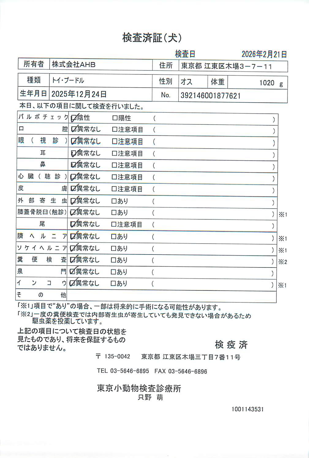 トイ・プードル