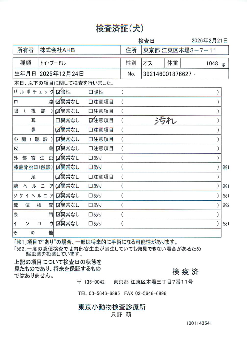 トイ・プードル
