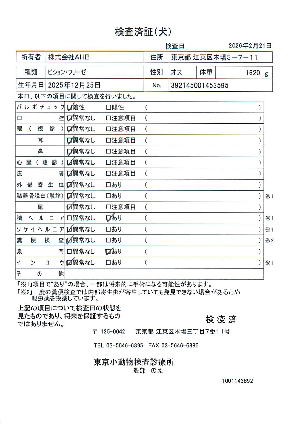 ビション・フリーゼ