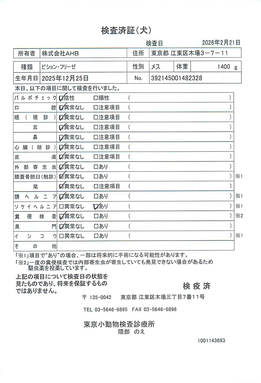 ビション・フリーゼ